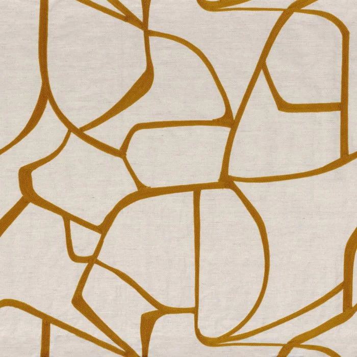 LACIS - immagine 2